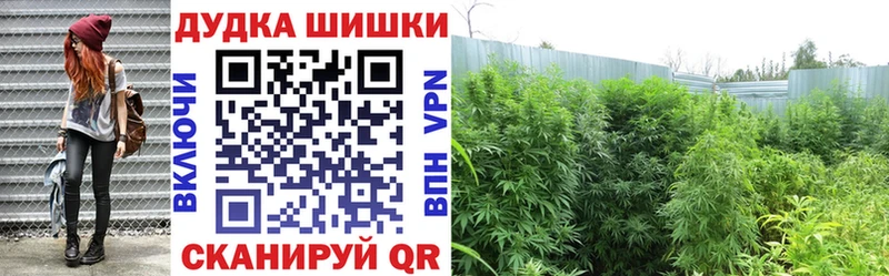 Бошки Шишки White Widow Купить Миньяр